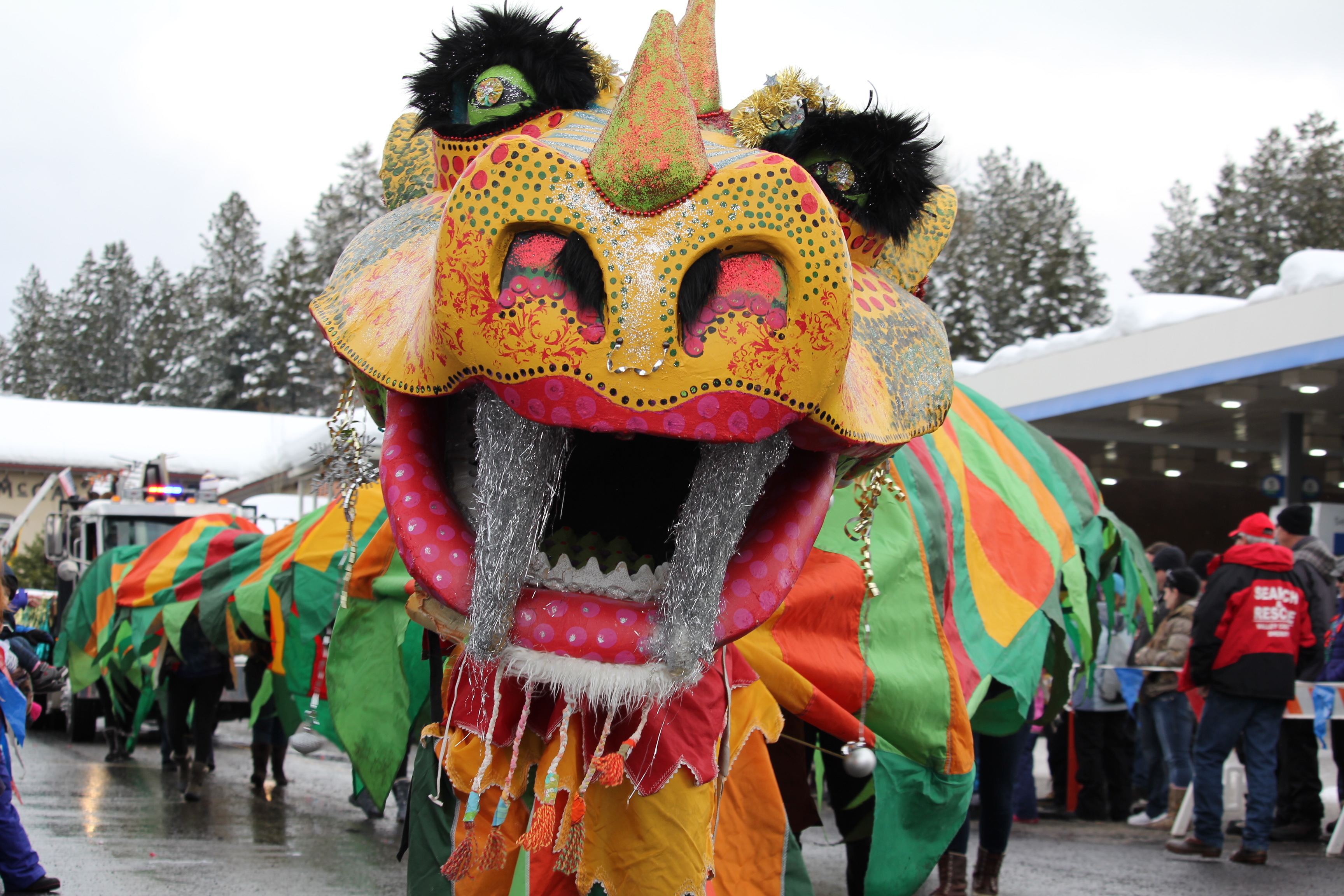 PHOTOS McCall Winter Carnival Mardi Gras Parade